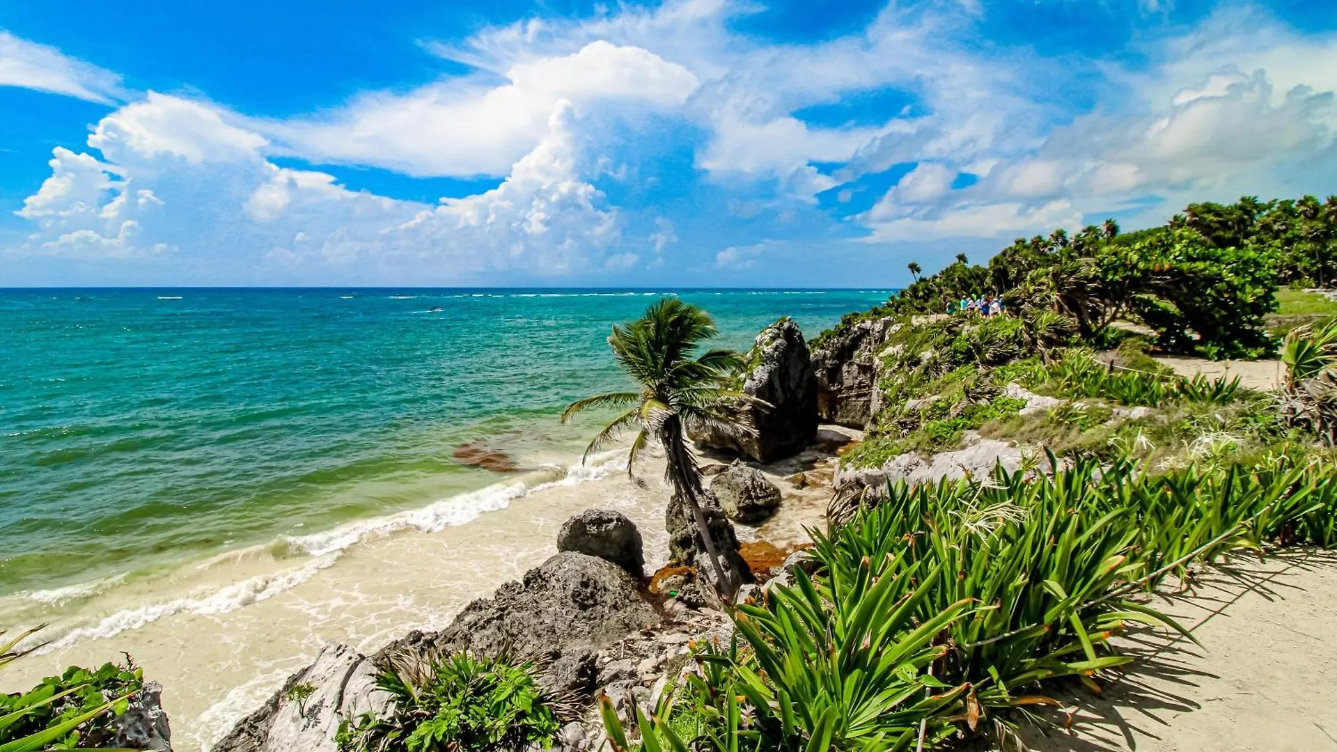 The Primary Suite @ Mestiza, 307A Tulum 0*,  Mexico